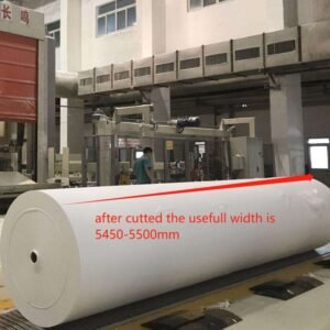 jumbo roll after cutting.jpg